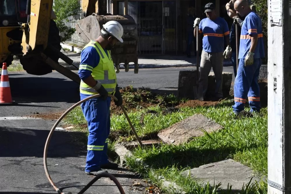 Foto: Weslei Fillmann / PMNH