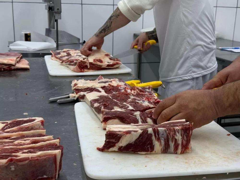 Foto: Vinícius Campos