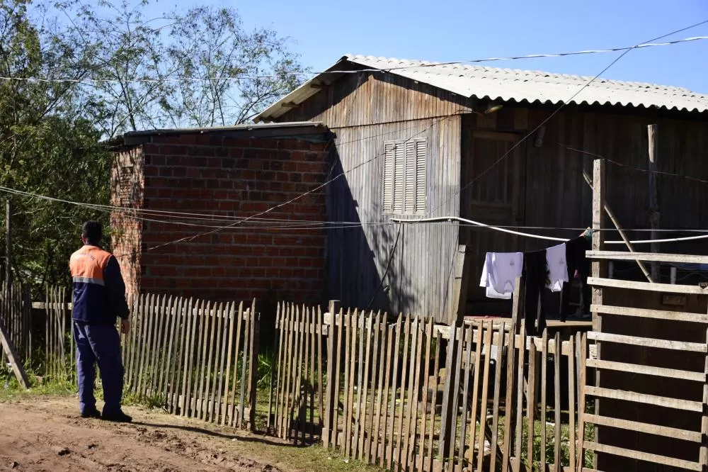 Foto: Weslei Fillmann/PMNH