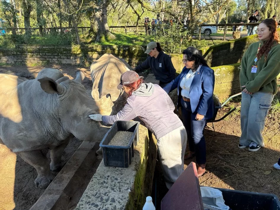 Foto: Divulgação/Sema