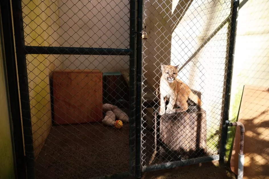 Foto: Luis André/Secom