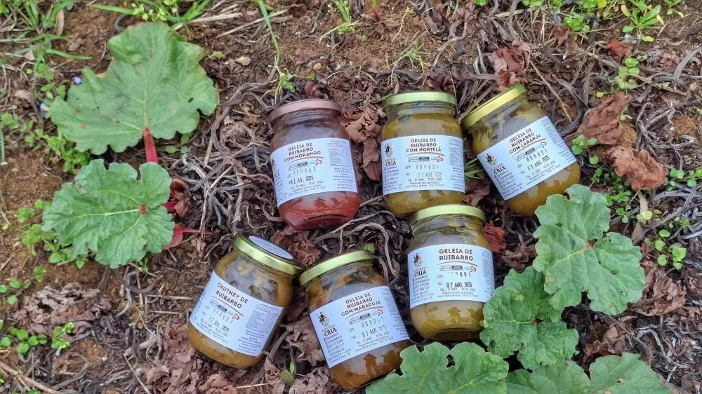 Foto: Fernando Dias/ Ascom Seapi