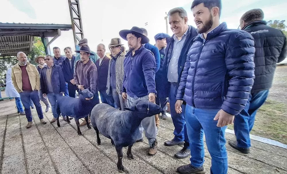 Foto: Fernando Dias/Seapi