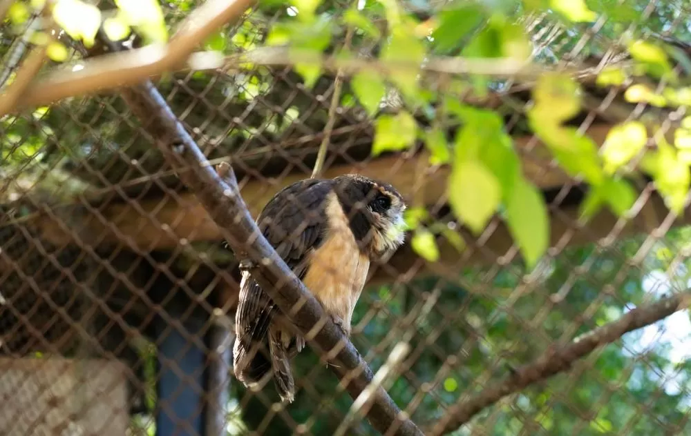 Foto: Julia Krauspenhar