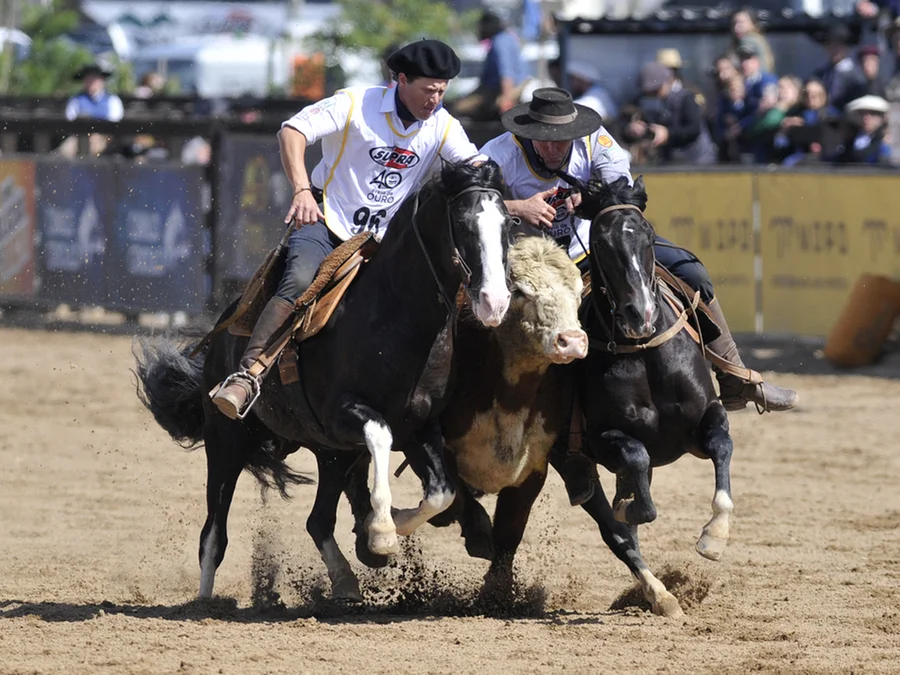 Foto: Mauro Schaeffer