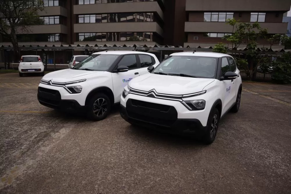 Foto: Weslei Fillmann / PMNH