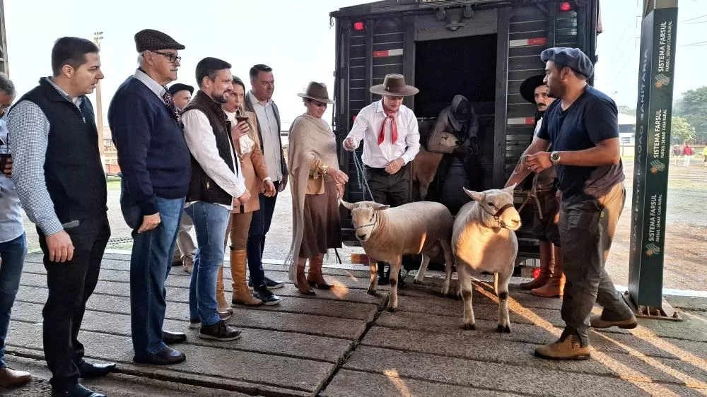 Fotos: Fernando Dias/Seapi